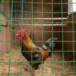 25 mm PVC Puntalı Tel