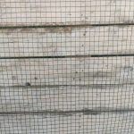 100 cm Pvc Puntalı Tel